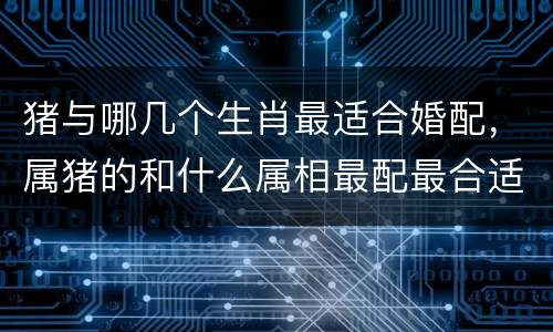 猪与哪几个生肖最适合婚配，属猪的和什么属相最配最合适呢