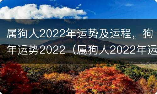属狗人2022年运势及运程，狗年运势2022（属狗人2022年运势详解）