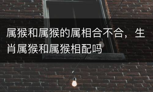 属猴和属猴的属相合不合，生肖属猴和属猴相配吗
