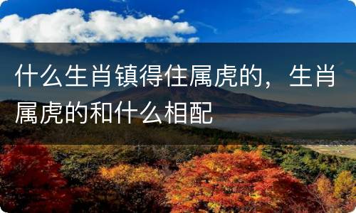 什么生肖镇得住属虎的，生肖属虎的和什么相配