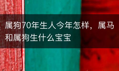 属狗70年生人今年怎样，属马和属狗生什么宝宝