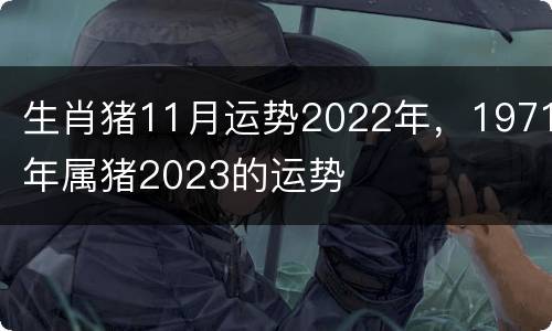 生肖猪11月运势2022年，1971年属猪2023的运势