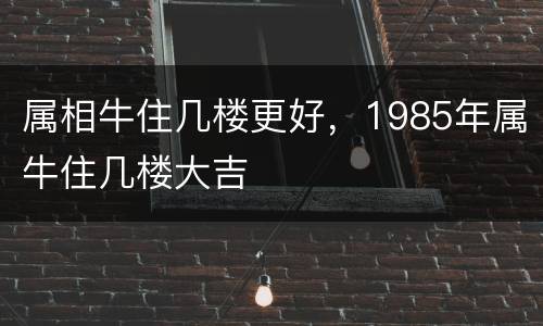 属相牛住几楼更好，1985年属牛住几楼大吉