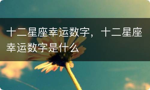 十二星座幸运数字，十二星座幸运数字是什么