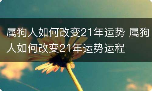 属狗人如何改变21年运势 属狗人如何改变21年运势运程