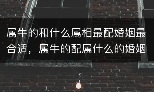 属牛的和什么属相最配婚姻最合适，属牛的配属什么的婚姻最合适