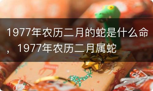 1977年农历二月的蛇是什么命，1977年农历二月属蛇