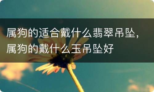 属狗的适合戴什么翡翠吊坠，属狗的戴什么玉吊坠好