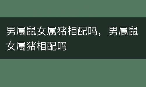 男属鼠女属猪相配吗，男属鼠女属猪相配吗