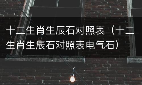 十二生肖生辰石对照表(十二生肖生辰石对照表电气石)