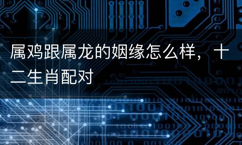 属鸡跟属龙的姻缘怎么样，十二生肖配对