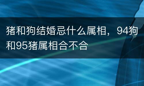 猪和狗结婚忌什么属相，94狗和95猪属相合不合