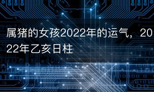 属猪的女孩2022年的运气，2022年乙亥日柱