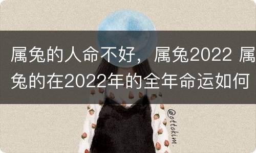 属兔的人命不好，属兔2022 属兔的在2022年的全年命运如何