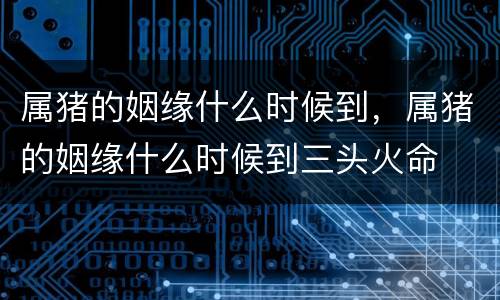 属猪的姻缘什么时候到，属猪的姻缘什么时候到三头火命