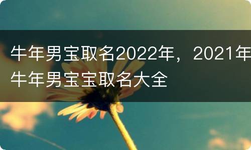 牛年男宝取名2022年，2021年牛年男宝宝取名大全