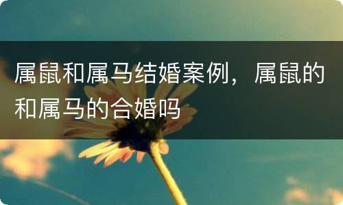 属鼠和属马结婚案例，属鼠的和属马的合婚吗