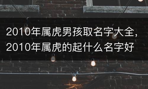 2010年属虎男孩取名字大全，2010年属虎的起什么名字好