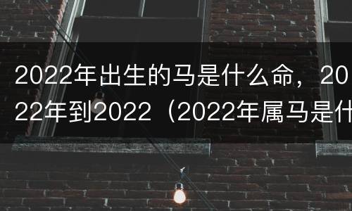 2022年出生的马是什么命，2022年到2022（2022年属马是什么命）