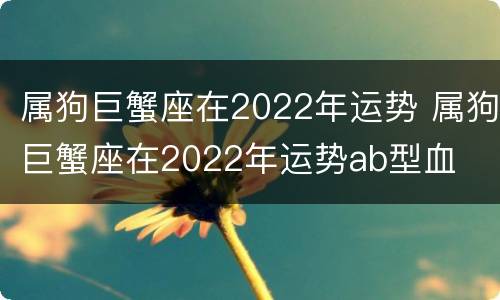 属狗巨蟹座在2022年运势 属狗巨蟹座在2022年运势ab型血