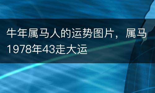 牛年属马人的运势图片，属马1978年43走大运