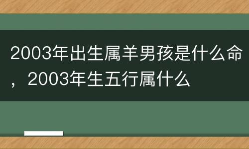 2003年出生属羊男孩是什么命，2003年生五行属什么