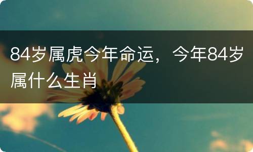 84岁属虎今年命运，今年84岁属什么生肖