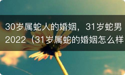 30岁属蛇人的婚姻，31岁蛇男2022（31岁属蛇的婚姻怎么样）
