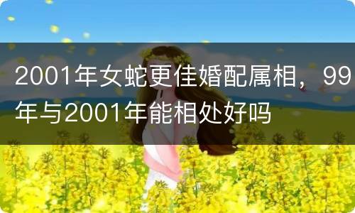 2001年女蛇更佳婚配属相，99年与2001年能相处好吗