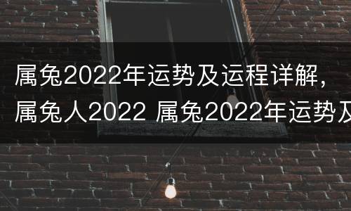 属兔2022年运势及运程详解，属兔人2022 属兔2022年运势及运程年运势及运程每月运程