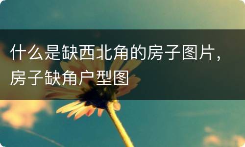 什么是缺西北角的房子图片，房子缺角户型图