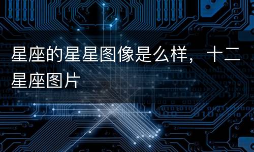 星座的星星图像是么样，十二星座图片