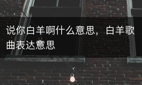 说你白羊啊什么意思，白羊歌曲表达意思
