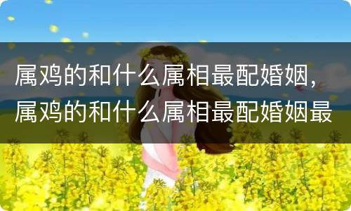 属鸡的和什么属相最配婚姻，属鸡的和什么属相最配婚姻最合适