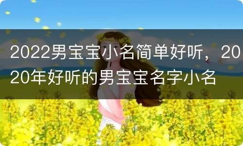 2022男宝宝小名简单好听，2020年好听的男宝宝名字小名