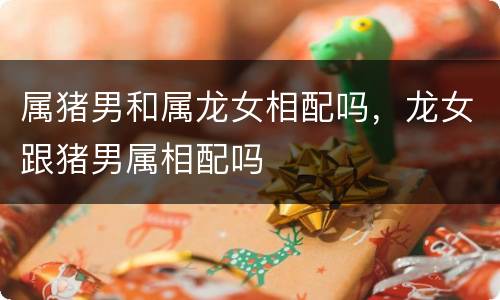 属猪男和属龙女相配吗，龙女跟猪男属相配吗