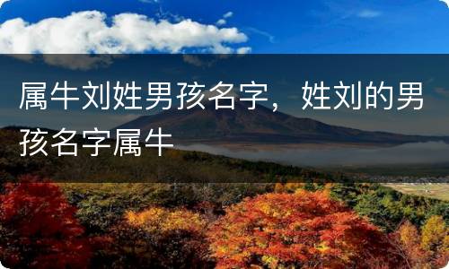 属牛刘姓男孩名字，姓刘的男孩名字属牛