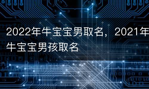 2022年牛宝宝男取名，2021年牛宝宝男孩取名