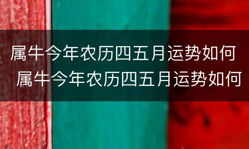 属牛今年农历四五月运势如何 属牛今年农历四五月运势如何呢