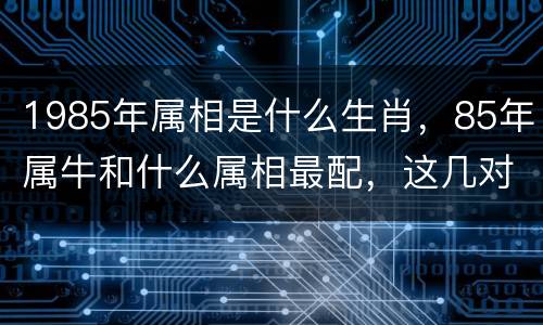 1985年属相是什么生肖，85年属牛和什么属相最配，这几对是