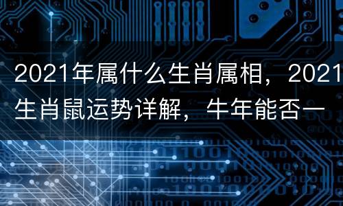 2021年属什么生肖属相，2021生肖鼠运势详解，牛年能否一