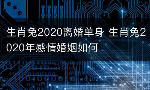 生肖兔2020离婚单身 生肖兔2020年感情婚姻如何