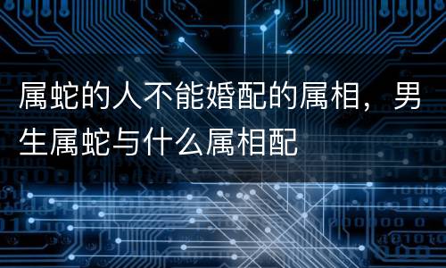 属蛇的人不能婚配的属相，男生属蛇与什么属相配