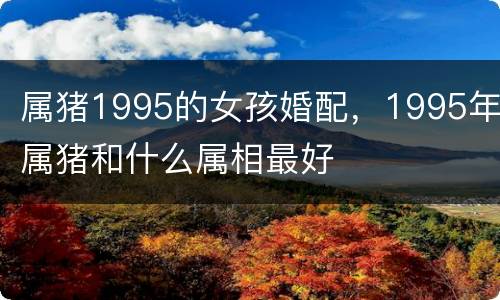 属猪1995的女孩婚配，1995年属猪和什么属相最好