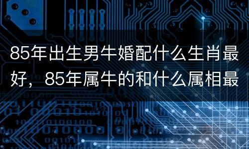 85年出生男牛婚配什么生肖最好，85年属牛的和什么属相最配？