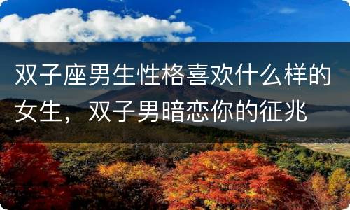 双子座男生性格喜欢什么样的女生，双子男暗恋你的征兆