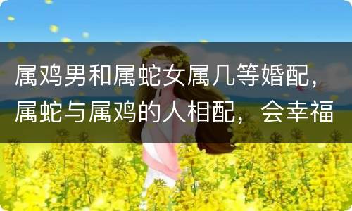 属鸡男和属蛇女属几等婚配，属蛇与属鸡的人相配，会幸福吗