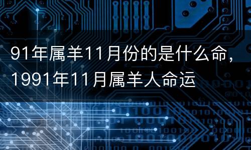 91年属羊11月份的是什么命，1991年11月属羊人命运