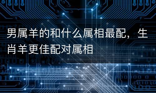 男属羊的和什么属相最配，生肖羊更佳配对属相