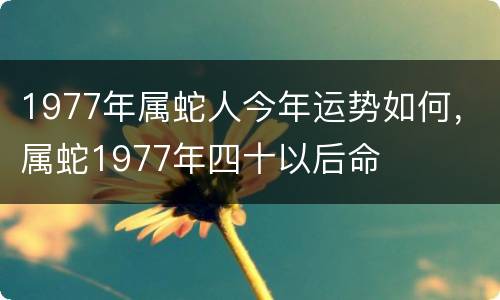1977年属蛇人今年运势如何，属蛇1977年四十以后命